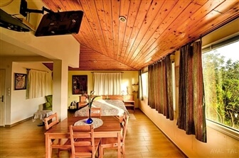 הסטודיו של בלום