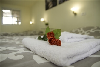 בין עצי התמר