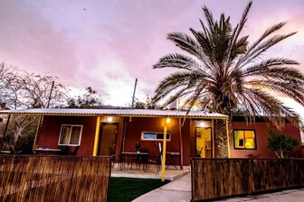 הפינוקים של רוזי