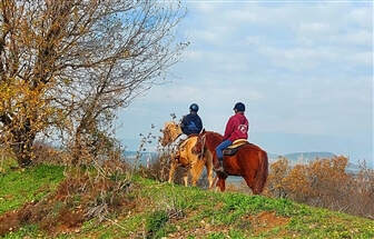 חוות הבוקרים מרום גולן