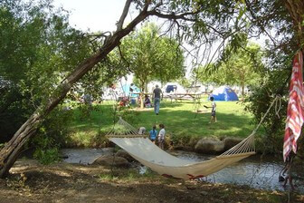 קמפינג דגי דפנה