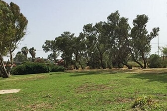 אכזיב- קמפינג