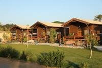 מתחם רוזמרין