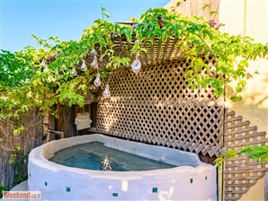 לויתן במדבר