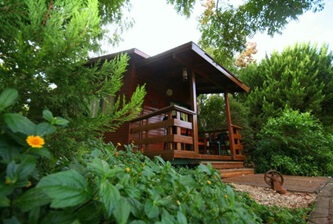 הבקתות של יוסי